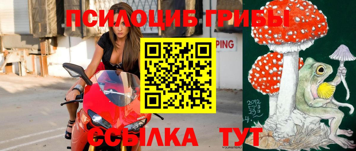 Галлюциногенные грибы ЛСД  Галлюциногенные грибы ЛСД  Конаково  где продают   Вход с VPN 